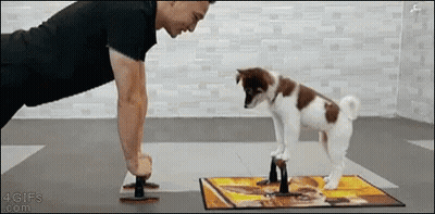 Man Doing Push Ups With Puppy GIF