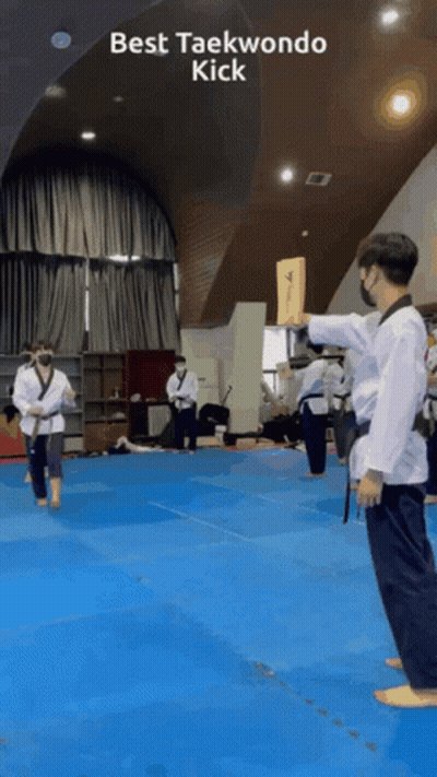 Man Doing Taekwondo Kick GIF