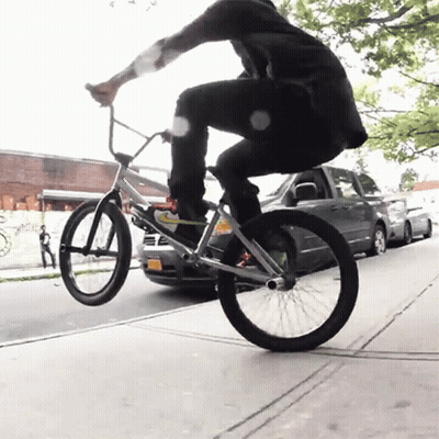 Man Doing Trick On Bike With License Plate YJC GIF