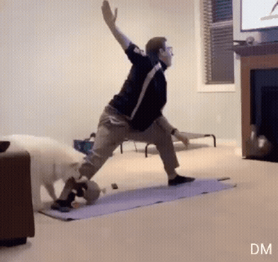Man Doing Yoga In Living Room As Dog Watches GIF