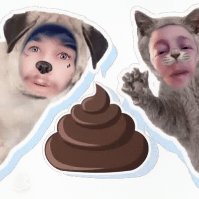 Man Dressed As Dog And Cat Dressed As Poop GIF