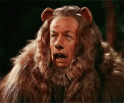 Man Dressed As Lion With Beard GIF