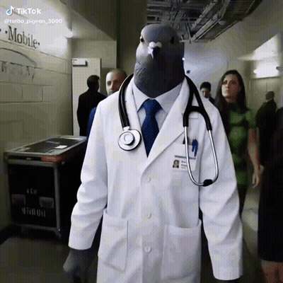 Man Dressed As Pigeon In Lab Coat With Stethoscope GIF