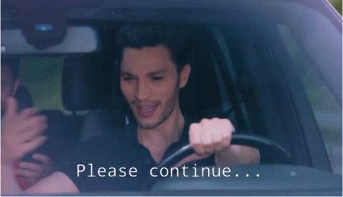 Man Driving Car Saying Please Continue GIF