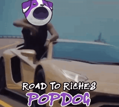 Man Driving Car With Dog on Head Road to Riches Popdog