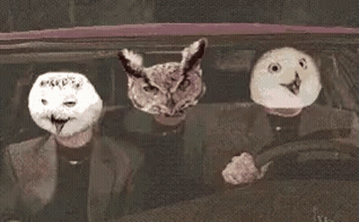 Man Driving Car With Three Masks On Face GIF