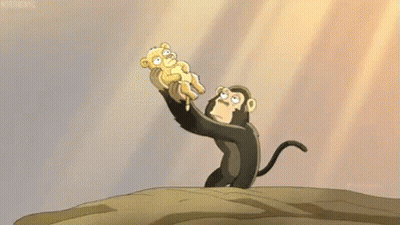 Man Driving Forklift With Monkey Standing Next To It GIF
