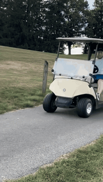 Man Driving Golf Cart On Road GIF