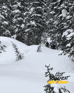 Man Driving Snowmobile Toward The Camera GIF