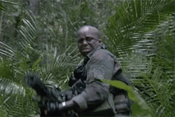 Man Duck Hunting In Forest GIF