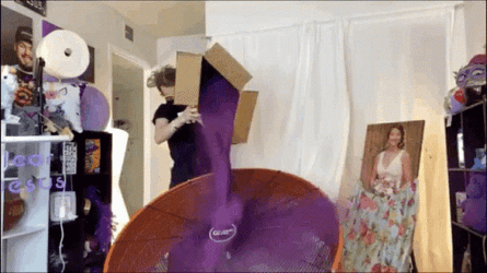 Man Dumped Big Glitter Bomb GIF