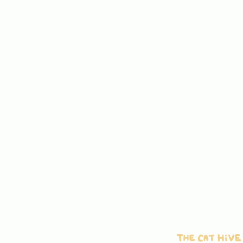 Man Eating Food With Fork GIF
