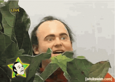 Man Eating Green Leaf Under Star Saying Live GIF