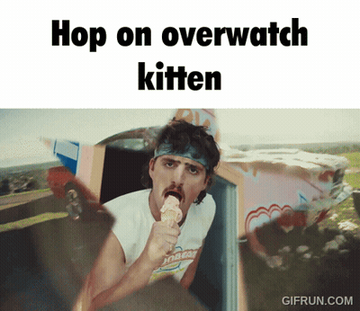 Man Eating Ice Cream Cone Hop On Overwatch Kitten GIF