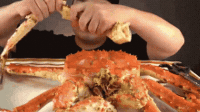 Man Eating Large Crab With Knife And Fork GIF