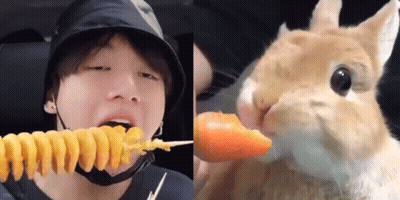 Man Eating Spiral Fries Beside Rabbit Eating Carrot GIF