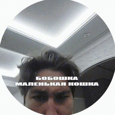 Man Face In Circle Saying Boboshka GIF