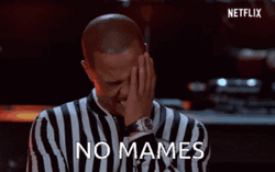 Man Face Palm No Mames Reaction  GIF