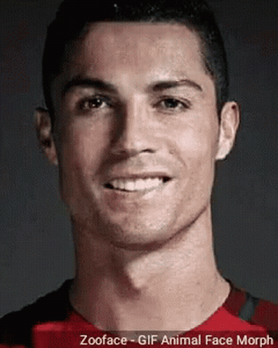 Man Face Zooface Animal Morph GIF
