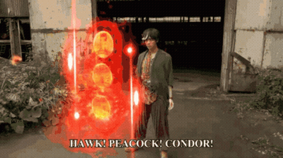 Man Facing Red Light Saying Hawk Peacock Condor GIF