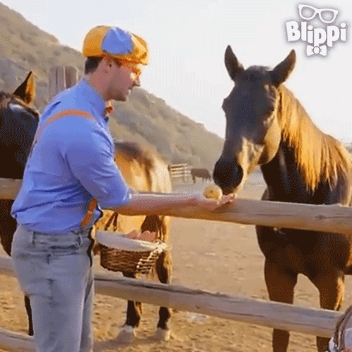Man Feeding Horse Behind Fence GIF