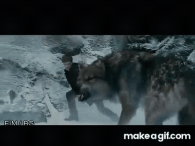 Man Fighting Wolf In Snow GIF