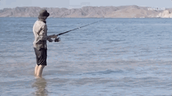 Man Fishing By Seashore GIF