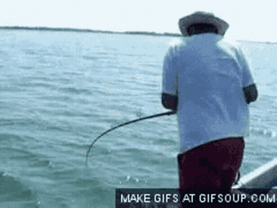Man Fishing On Boat GIF
