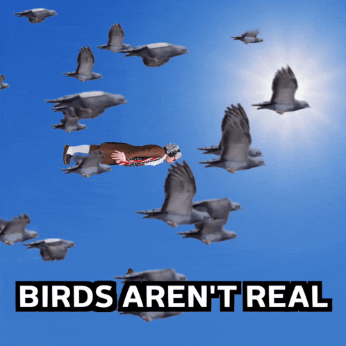 Man Flying Through Pigeons With Birds Aren't Real GIF