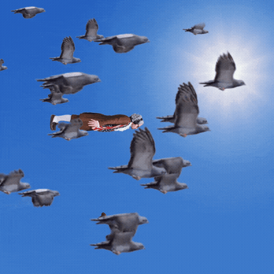 Man Flying Through Pigeons With Liberty Shirt GIF