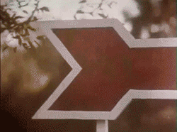 Man Following Pointing Arrow GIF