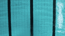 Man Freestyle Swimming In Pool GIF