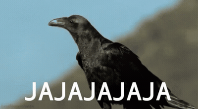 Man Getting Haircut By Barber In Keune Apron GIF