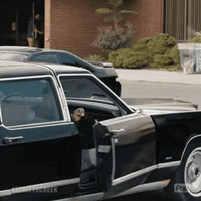 Man Getting Out Of Black Car With Dog In Driver Seat GIF