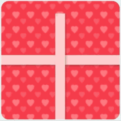 Man Gift Middle Finger GIF