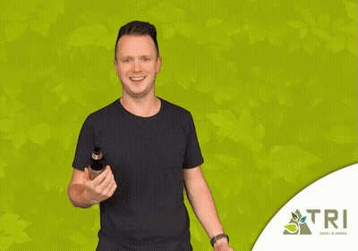 Man Giving OK Sign In Front Of Green Background GIF