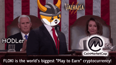 Man Giving Speech Floki Is The World's Biggest Play To Earn GIF