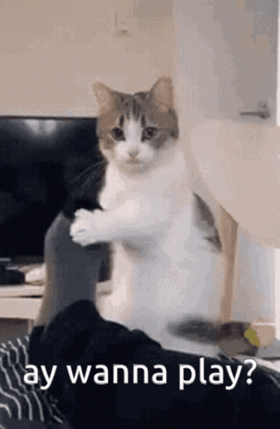 Man Giving Woman Thumbs Up GIF
