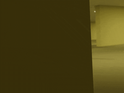 Man Hand On Forehead Saying Come On Brother GIF