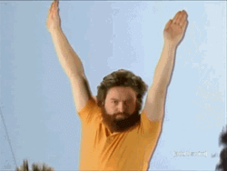 Man Hands Up To Fly Meme GIF
