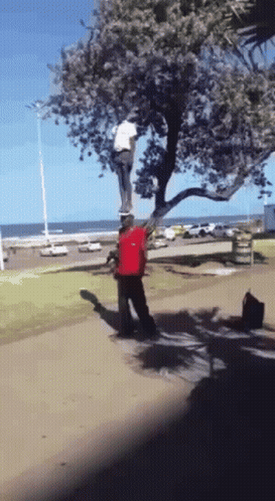 Man Hanging From Tree GIF