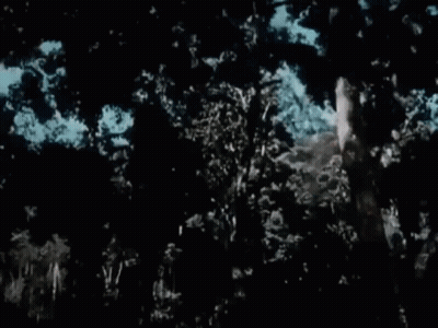 Man Hanging From Tree With Tarzan Text GIF