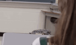 Man Having A Burnout Break Down GIF