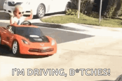 Man Holding American Flag Beside Car Saying Lite GIF