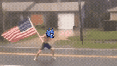 Man Holding American Flag With Blue Dog Head GIF