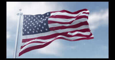 Man Holding American Flag GIF