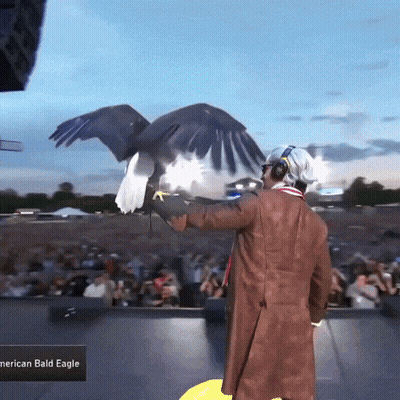 Man Holding Bald Eagle GIF