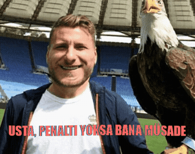 Man Holding Bald Eagle Usta Penalti Yoksa Bana Musade GIF