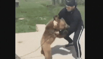 Man Holding Bear On Chain GIF
