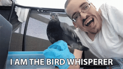Man Holding Bird I Am The Bird Whisperer GIF